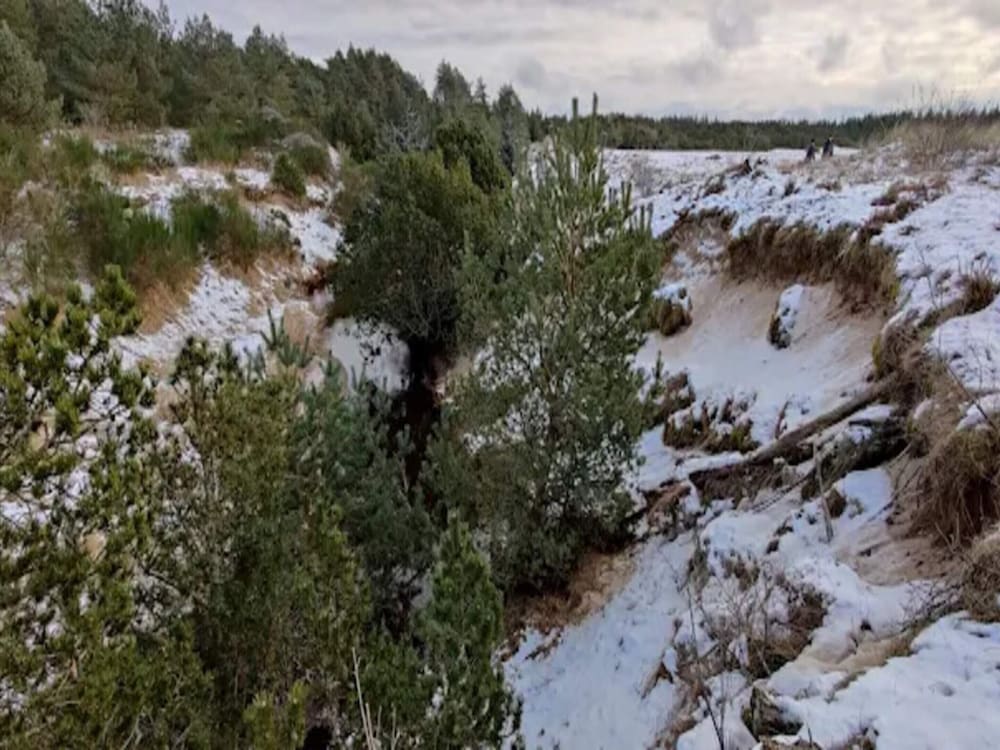 Seaside Serenity at Knasborg Beach-by Traum