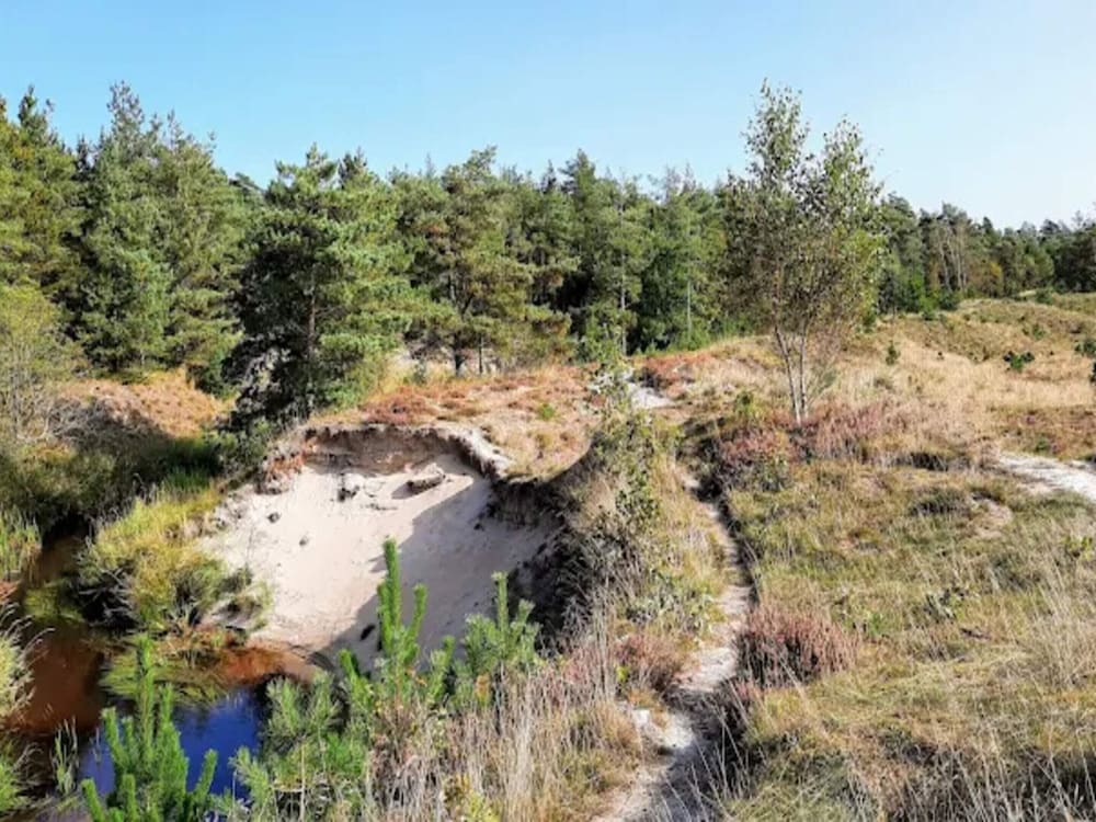 Seaside Serenity at Knasborg Beach-by Traum