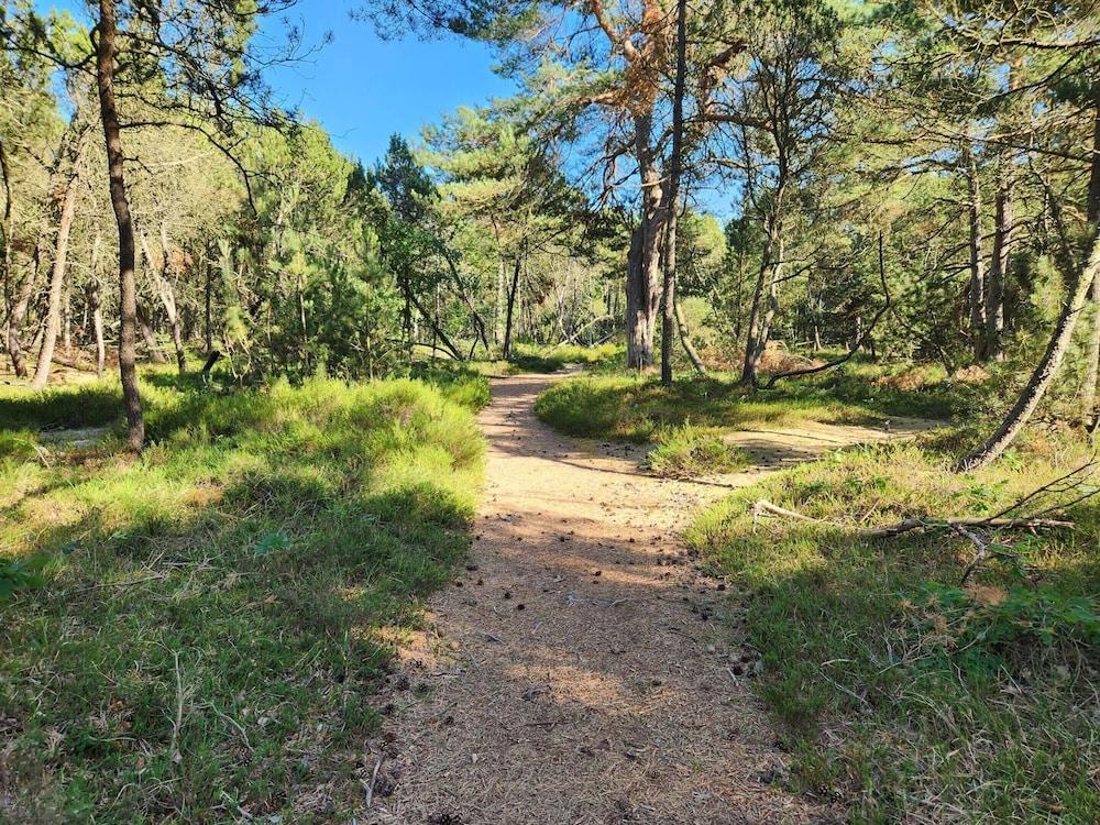 6 Person Holiday Home in Hadsund