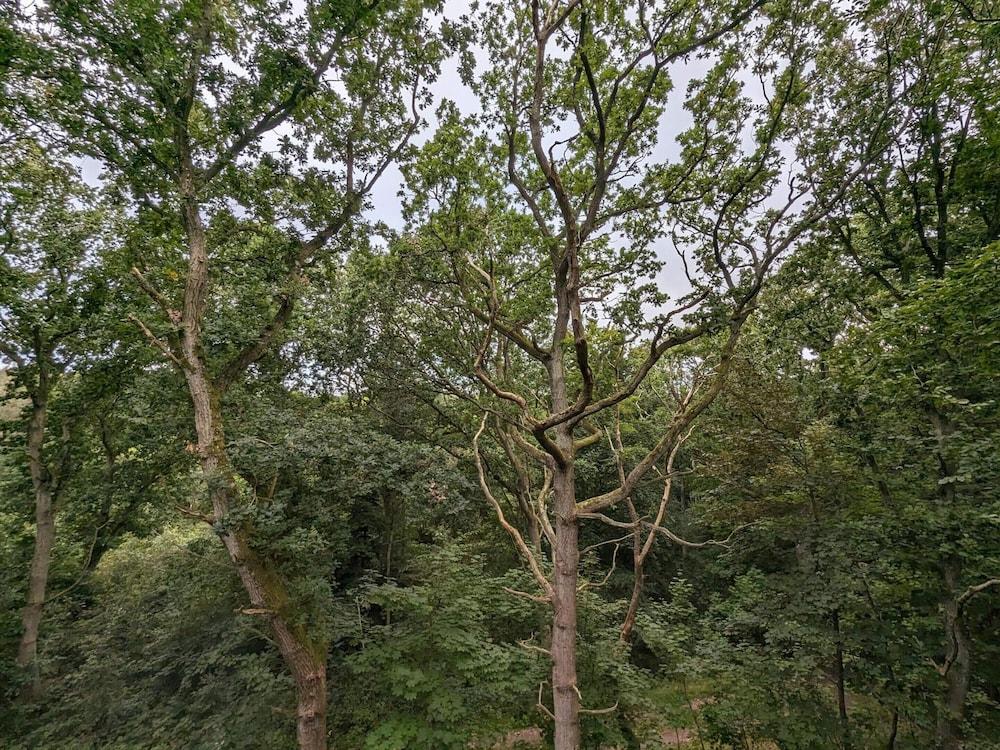 Tranquil Waterfront Cottage-by Traum