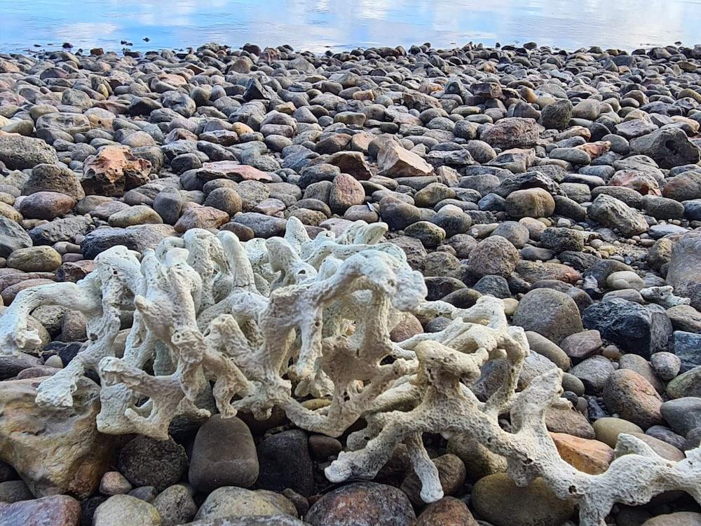 Cozy Holiday Home in Hurup near Limfjorden