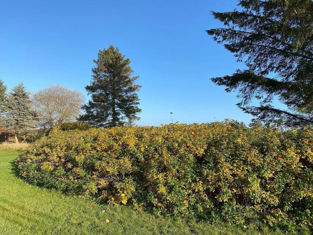 6 Person Holiday Home in Hadsund-by Traum