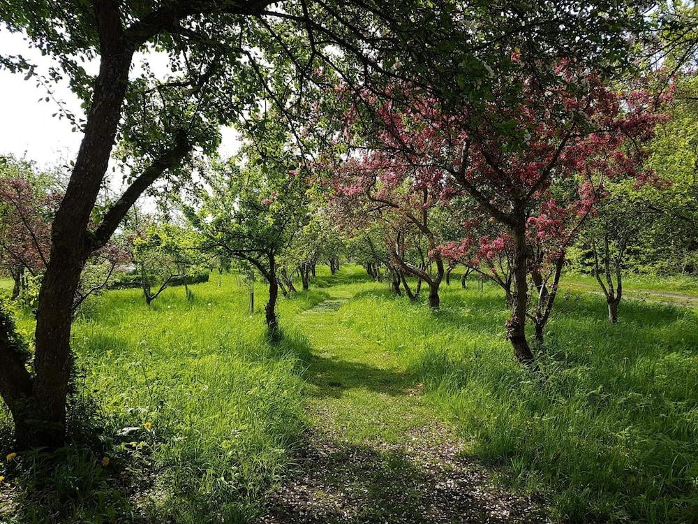 8 Person Holiday Home in Saeby-by Traum