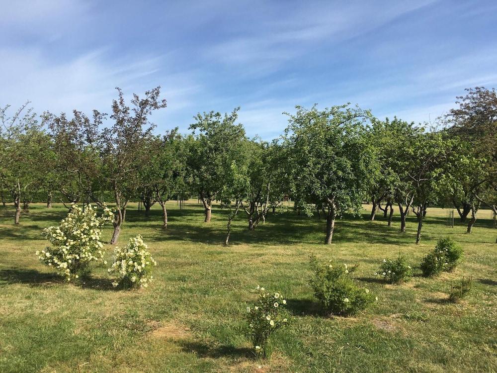 8 Person Holiday Home in Saeby-by Traum