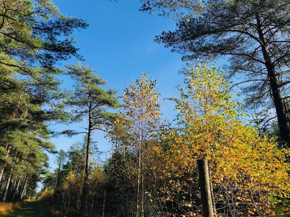 Cozy Beach House With Spa - By Traum Ferienwohnungen