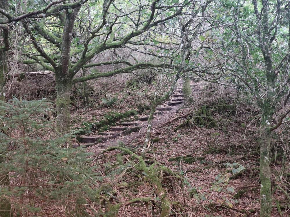 10 Person Holiday Home in Brovst