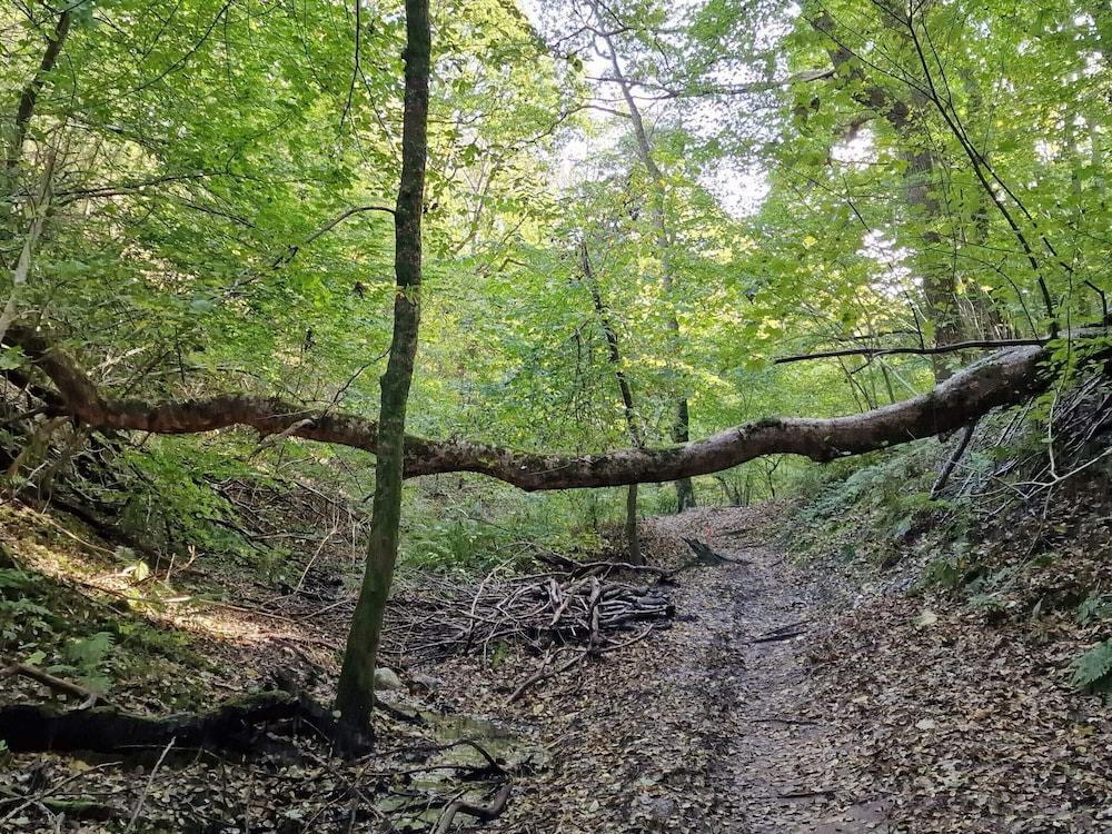 10 Person Holiday Home in Brovst