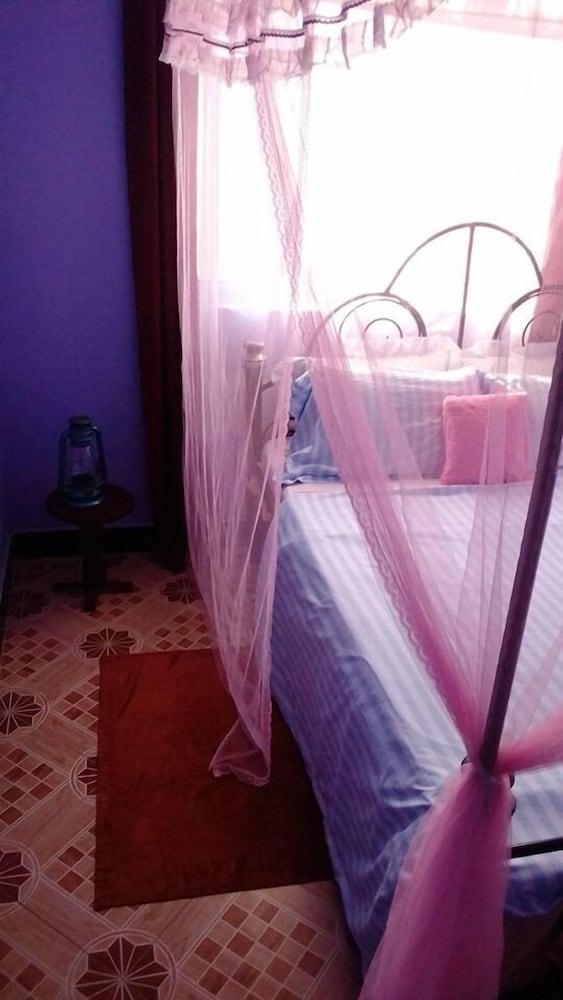 View Mountain House - Backpackers