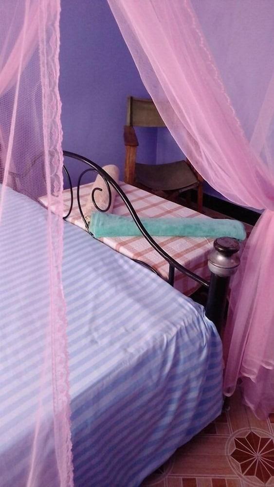 View Mountain House - Backpackers