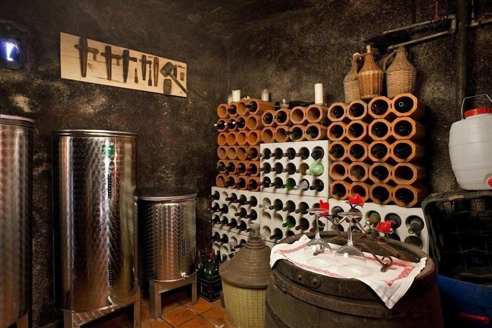 Vineyard cottage Verček