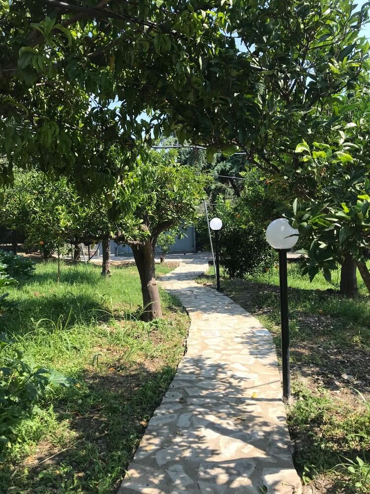 Arancetodamareposeidone