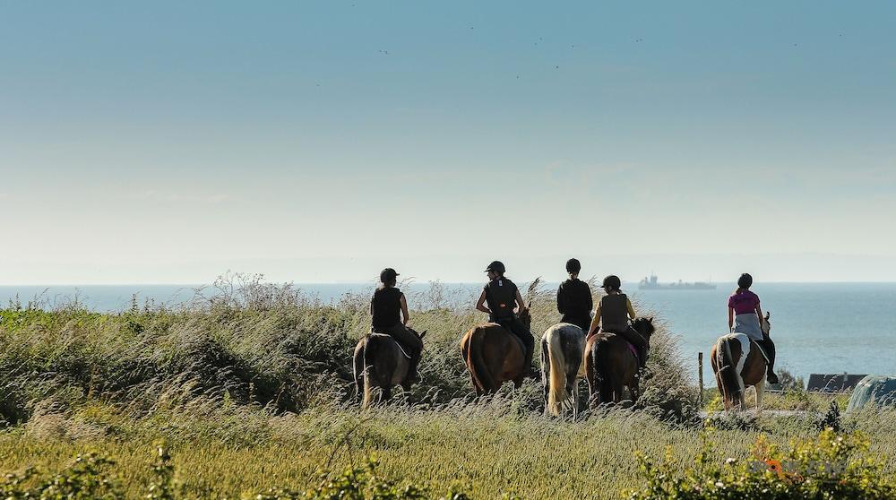 Les Cabanes de Warincthun
