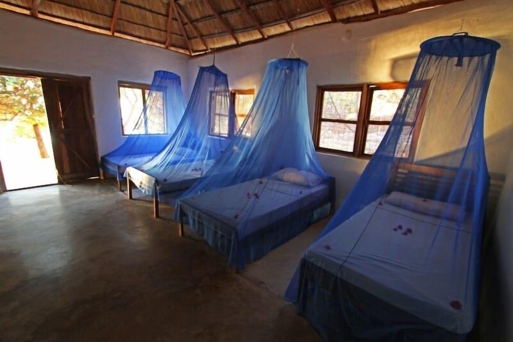 Mango Drift Lodge - Hostel