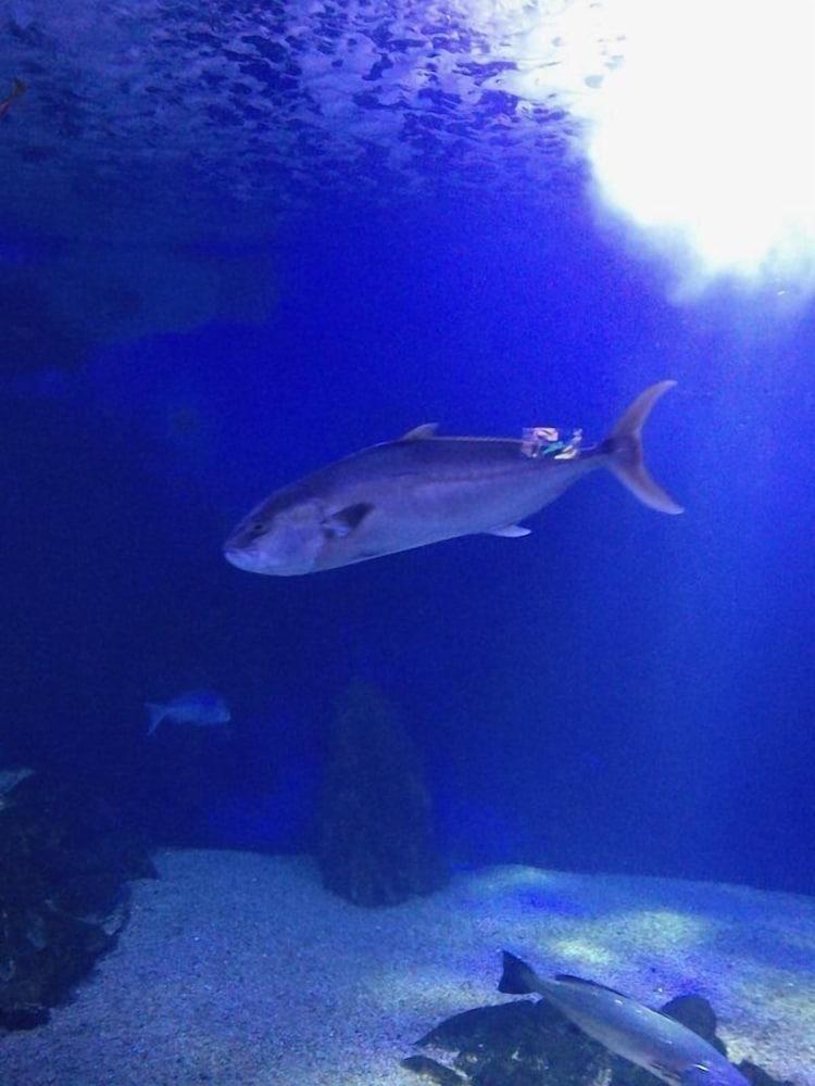 Casa Gianni Cala Gonone Mare