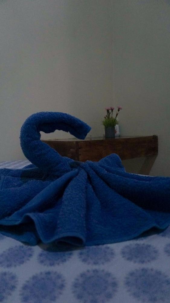 Guesthouse Morpho CR