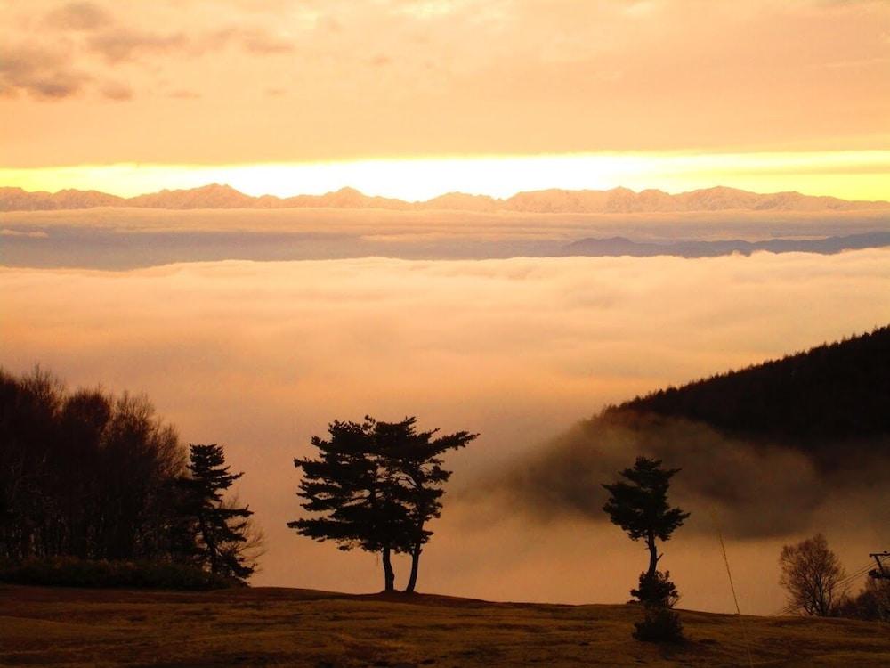 Okuyama Pension Radish