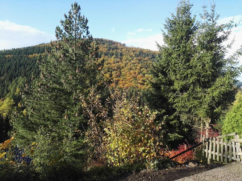 Ferienwohnung Waldblick Winterberg