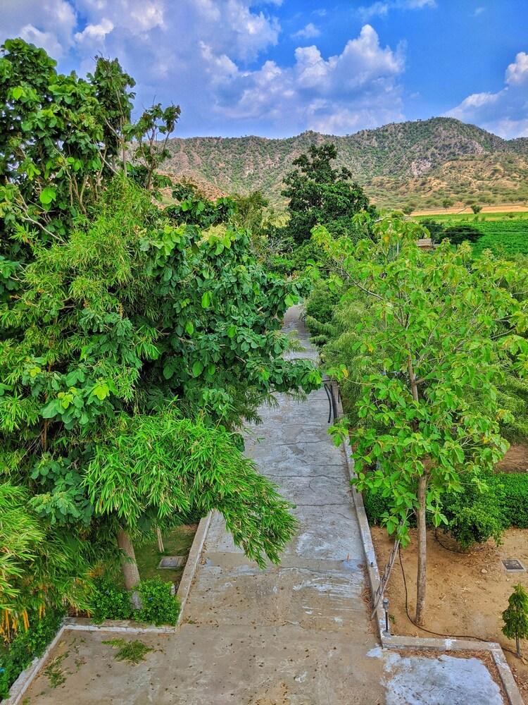 Nurture by Madpackers