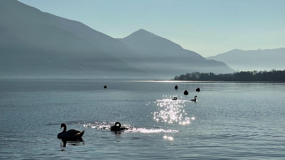 Riva Rooms & Studios