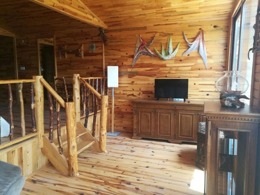 Olympos Tanrılar Kulübü