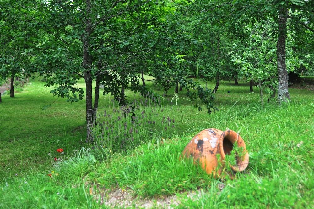 Room-vale Martinho Oriental - Paradise i