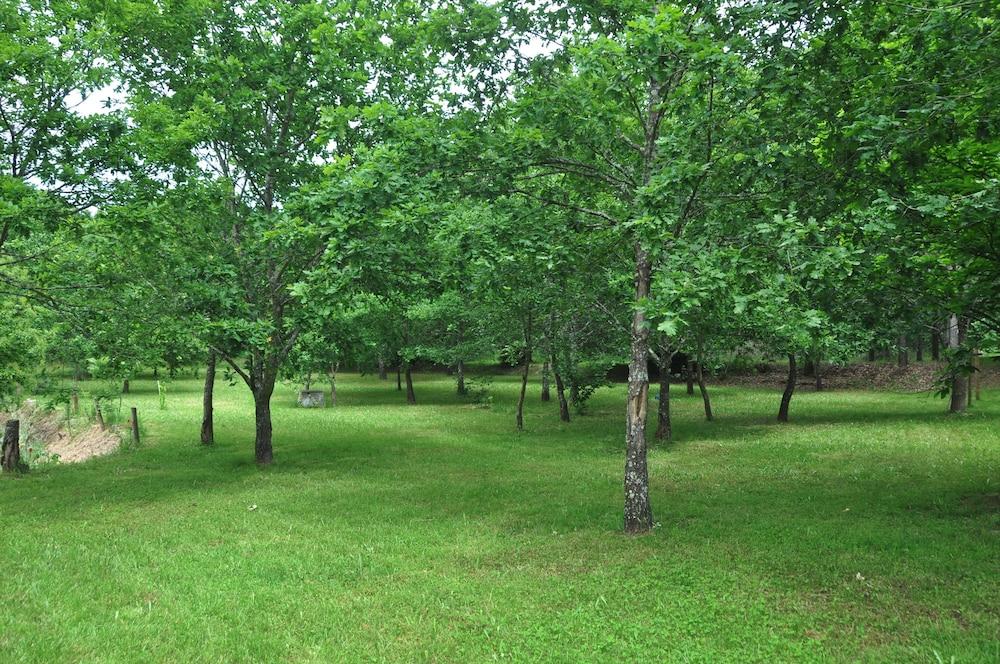 Room-paradise is Real at Vale Martinho R