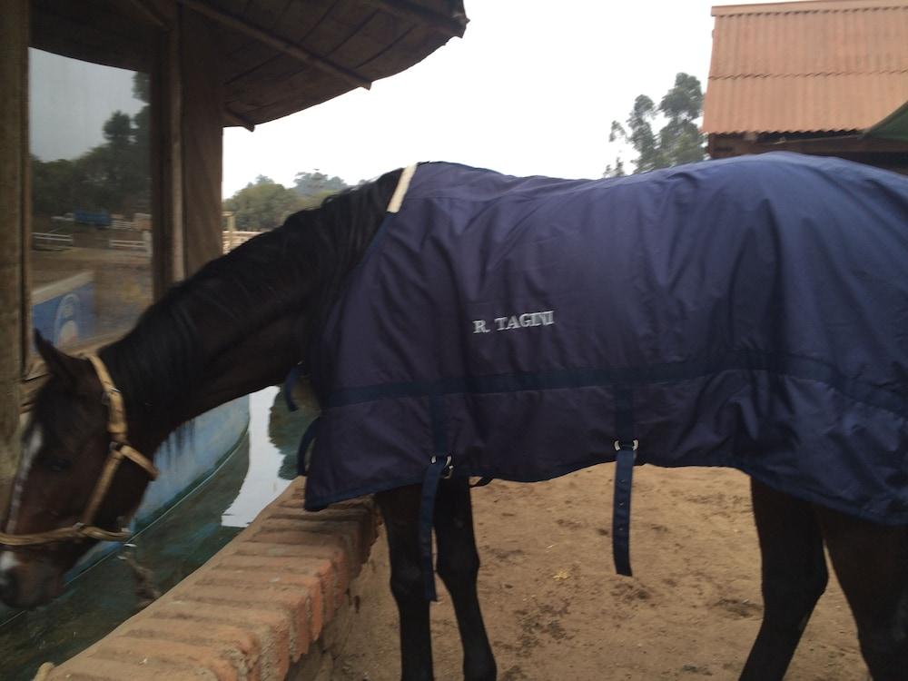 Welcome to Scandinavia Hotel B b