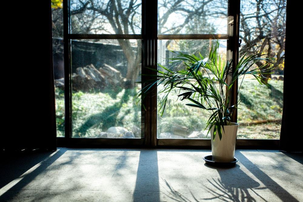 Guest House Nagatoro Nemaki - Hostel