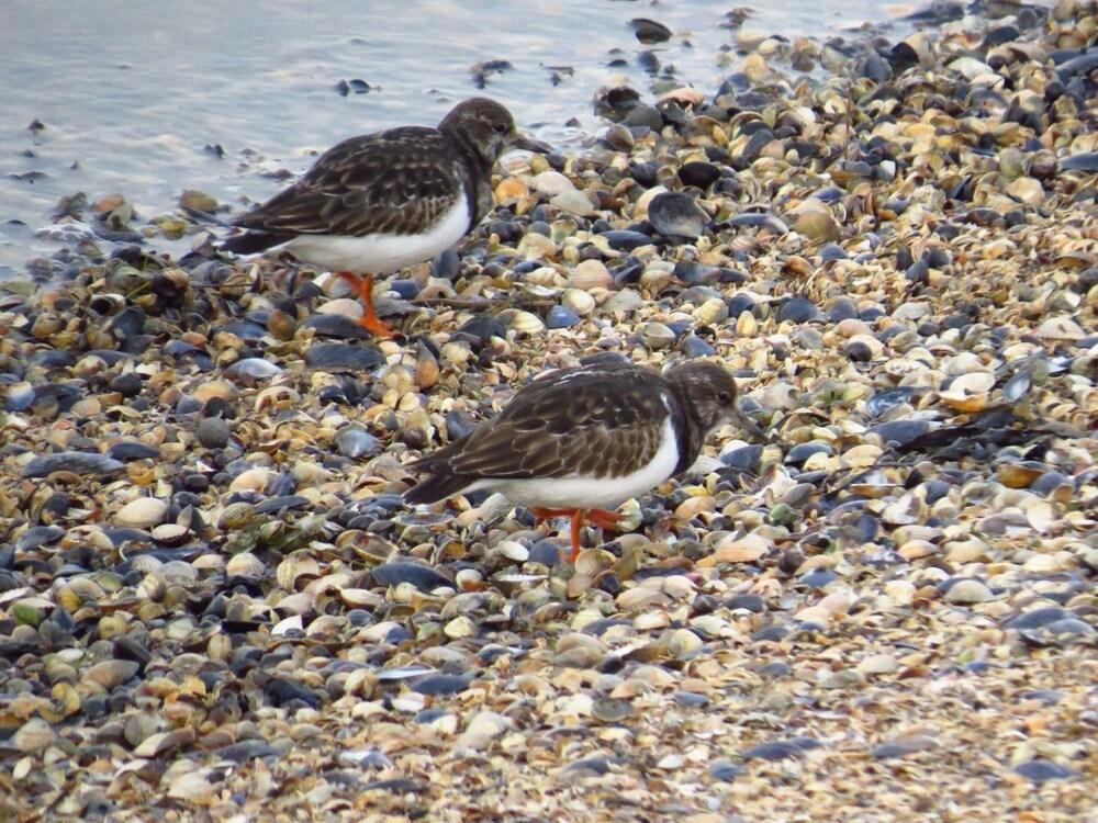 Goldene-linie 4 Deichblick