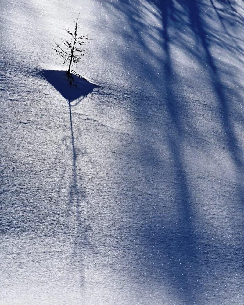 Ferienwohnung - Rauchkofel