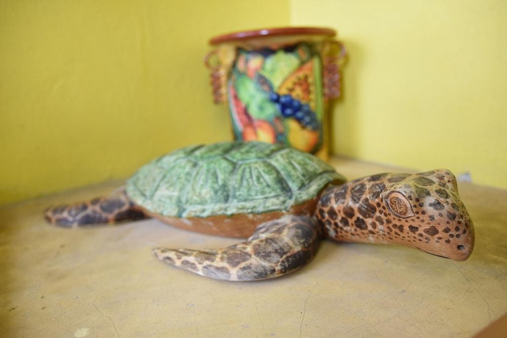 Room in B&B - Cancun Guest House 1