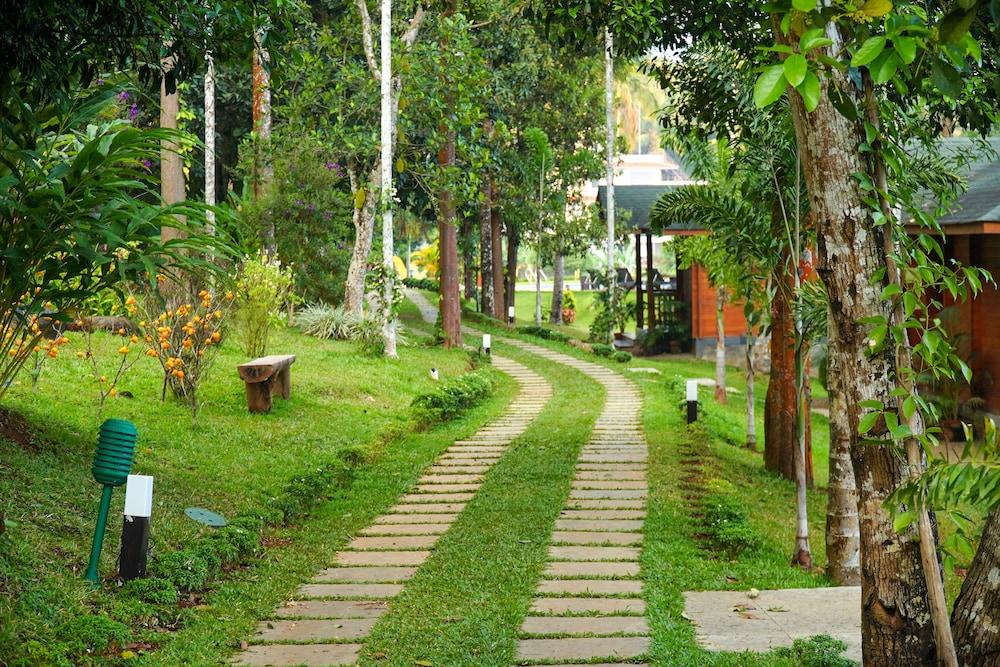 Room-lakerose Wayanad Resort