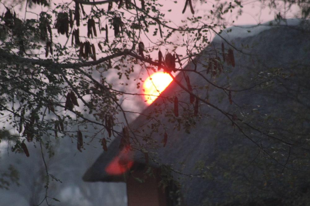 Ndhovu Safari Lodge - Campground