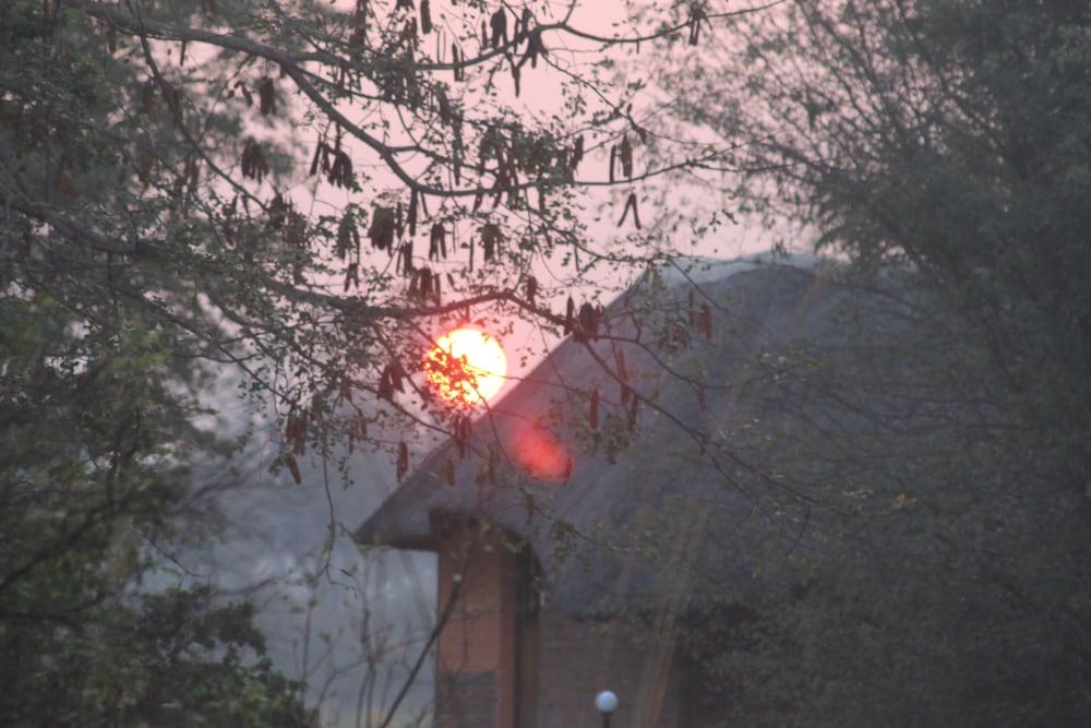 Ndhovu Safari Lodge - Campground