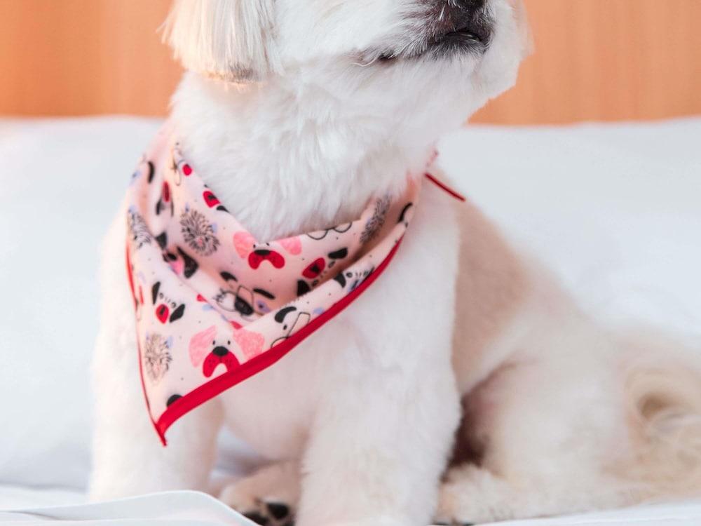 ibis Presidente Prudente Manoel Goulart