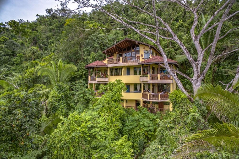 Sleeping Giant Rainforest Lodge