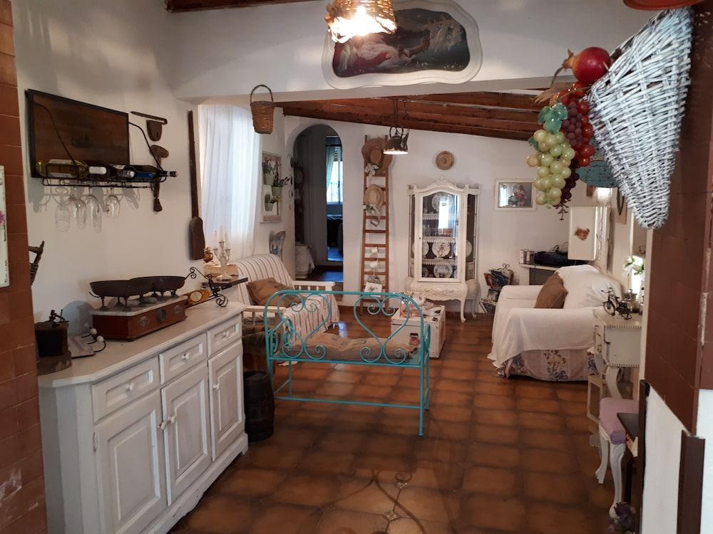 The Mountain Gardens