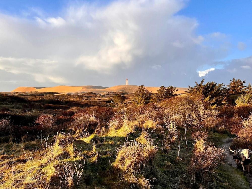 6 Person Holiday Home in Hjorring