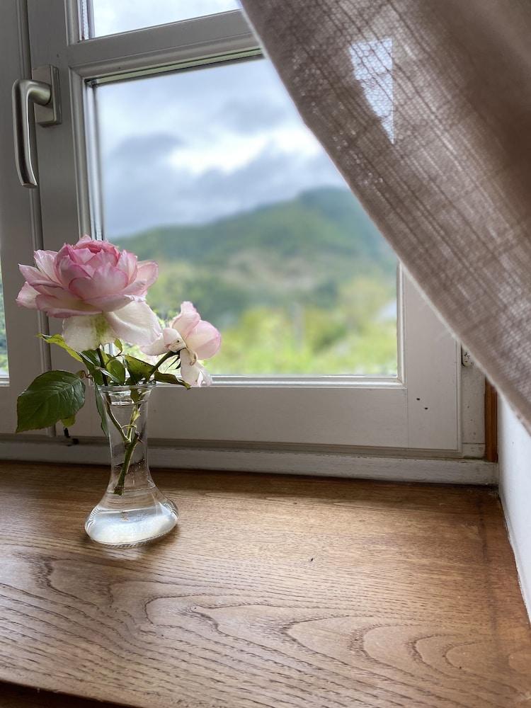 Le Clos Saint Georges