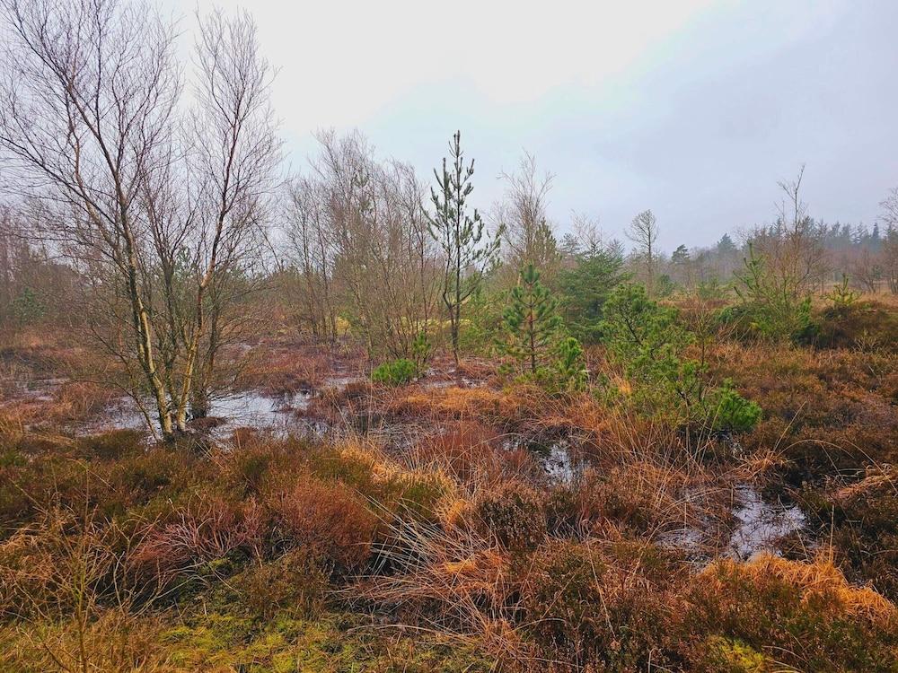 4 Person Holiday Home in Norre Nebel