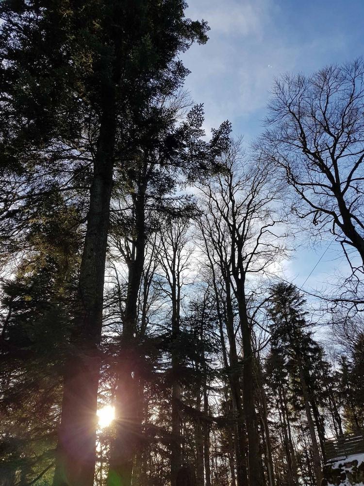 Ferienwohnung Urlaub mit Aussicht