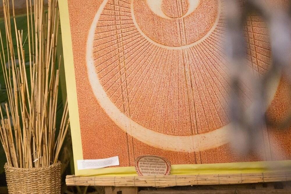 Biohof Grissenberger