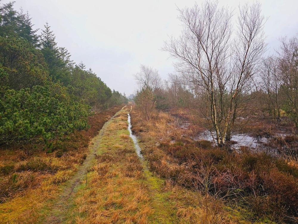 6 Person Holiday Home in Norre Nebel