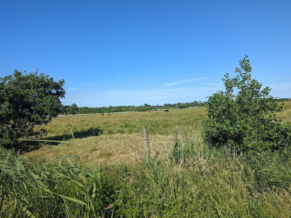 Holiday Home in BlÃ¥vand
