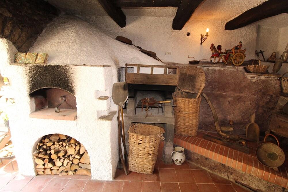 Geraneo Among Vineyard