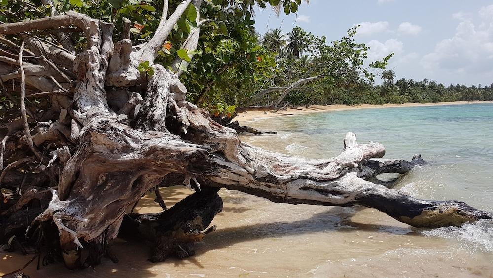 Las Terrenas Townhouse with Private Beach