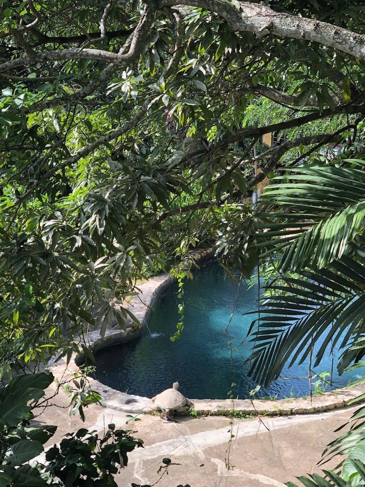 Pulse Suites at Villa Ronai