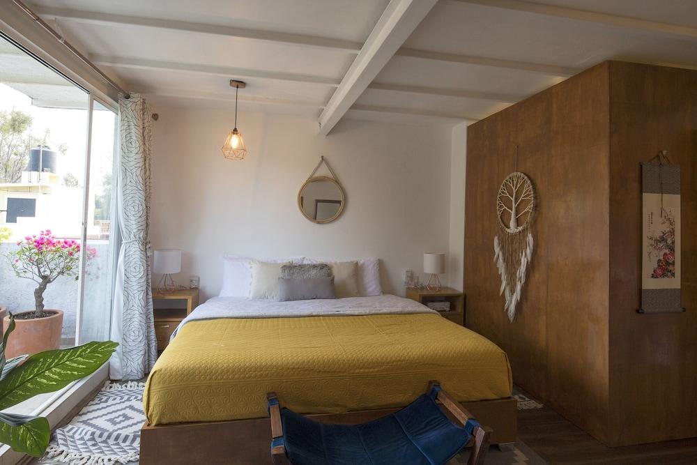 Departamentos Mi Querido Coyoacán