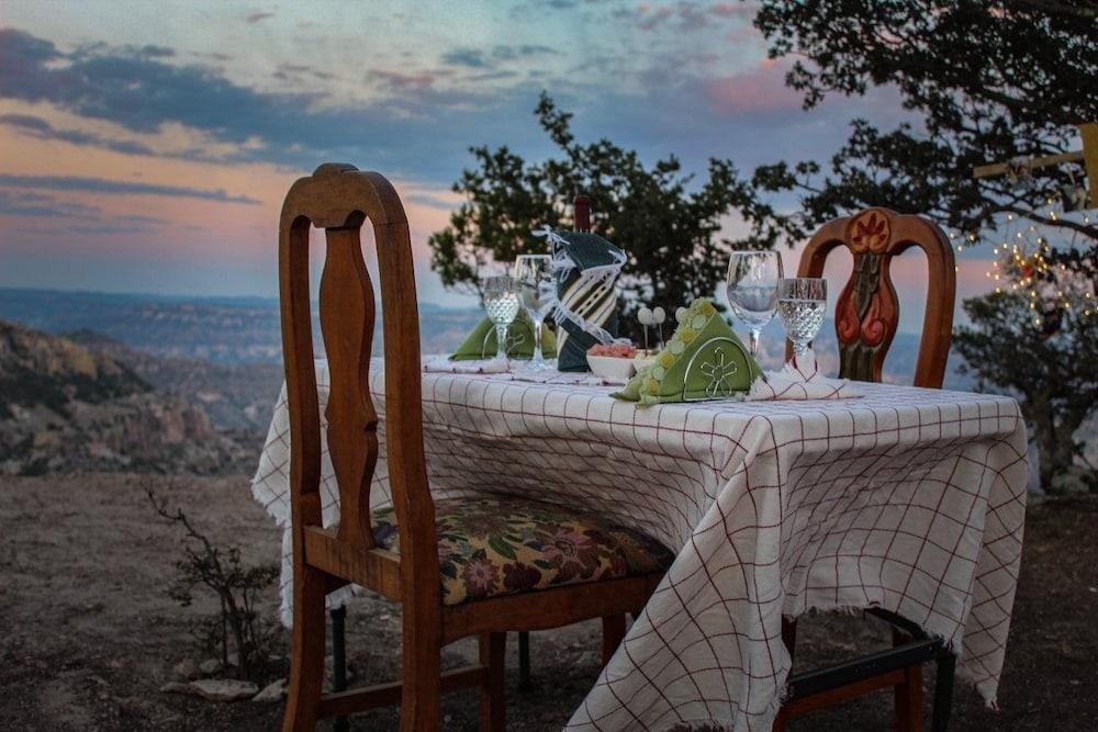 Hakal Mi Lindo Chihuahua