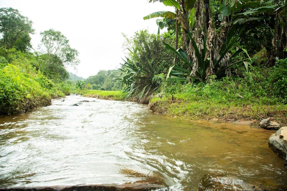 Room-the Nest Bettathur, Coorg Ct 003